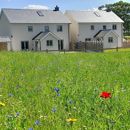 Brecon Beacons Cottage With Stunning Country Views Myddfai 외부 사진