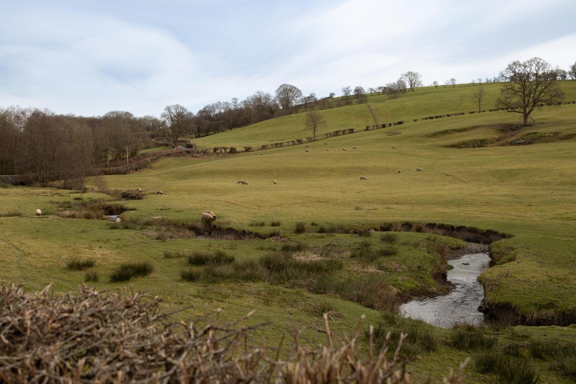 Brecon Beacons Cottage With Stunning Country Views Myddfai 외부 사진