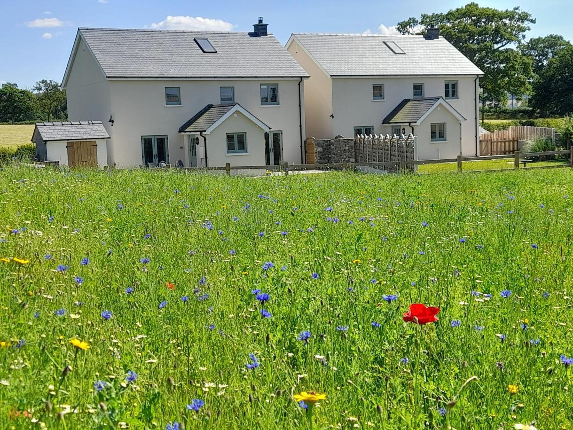 Brecon Beacons Cottage With Stunning Country Views Myddfai 외부 사진